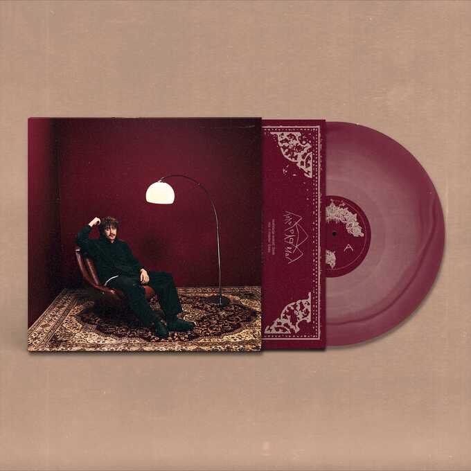 Hubert.: kolorowe domy LP standard